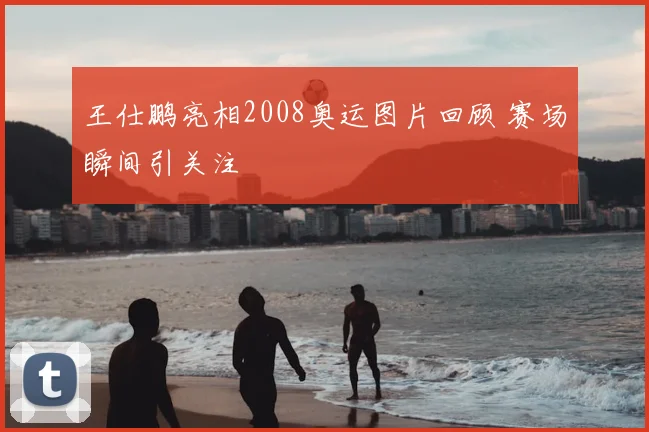 王仕鹏亮相2008奥运图片回顾 赛场瞬间引关注
