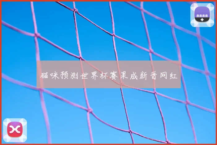 猫咪预测世界杯赛果成新晋网红