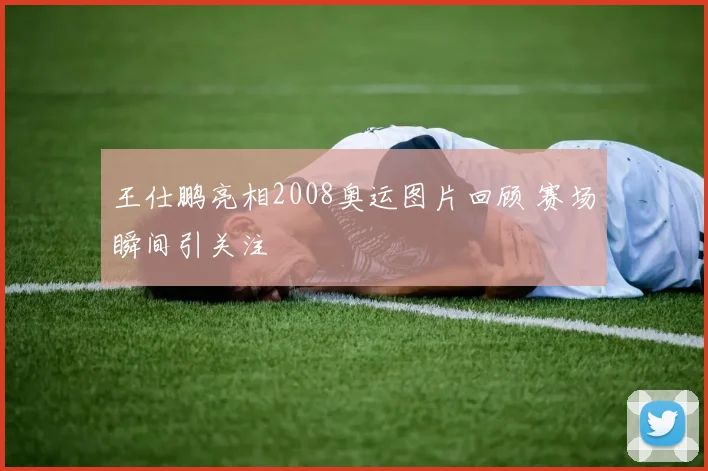 王仕鹏亮相2008奥运图片回顾 赛场瞬间引关注