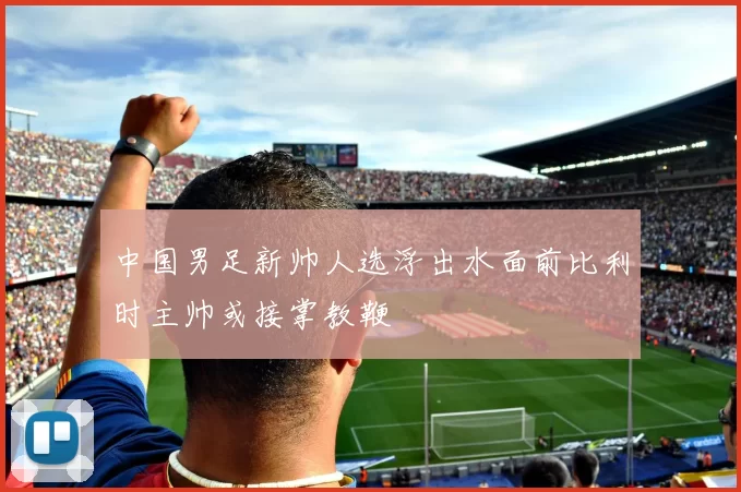 中国男足新帅人选浮出水面前比利时主帅或接掌教鞭